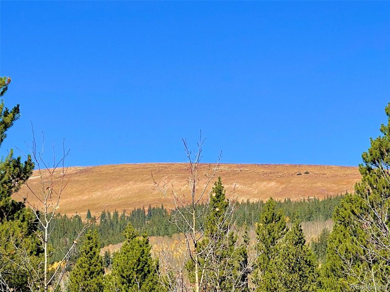 Mosquito Cir Lot 11, Alma, CO 80420