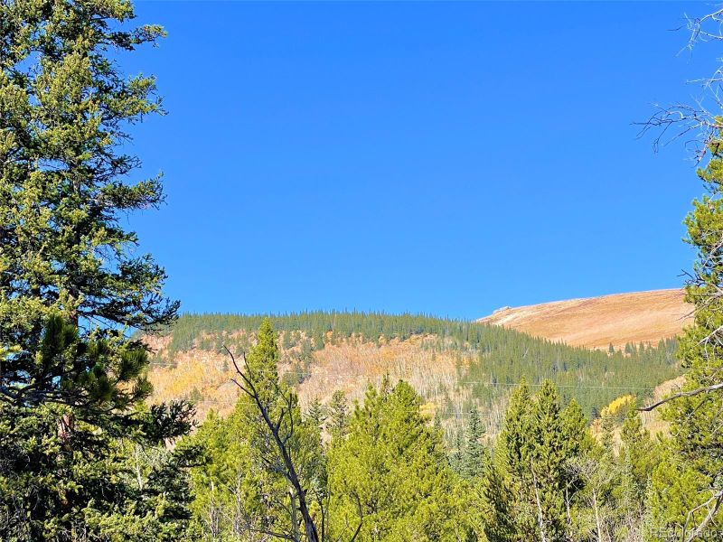 Mosquito Cir Lot 11, Alma, CO 80420