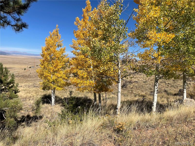 439 Corral Rd, Hartsel, CO 80449