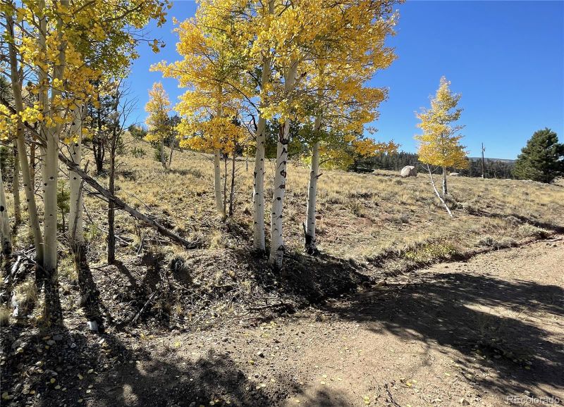 23 Loft Way, Hartsel, CO 80449