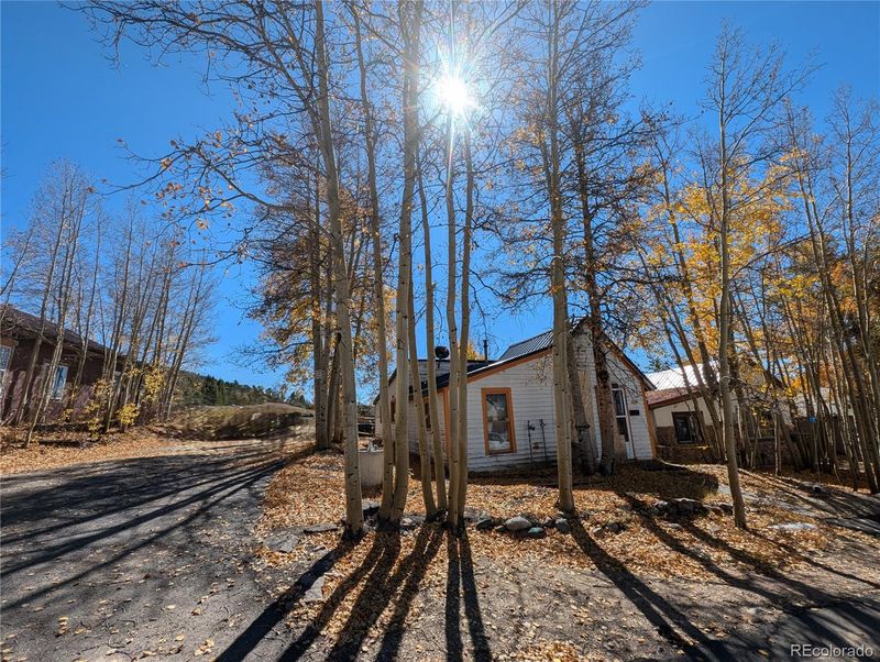 421 E 2nd St, Leadville, CO 80461