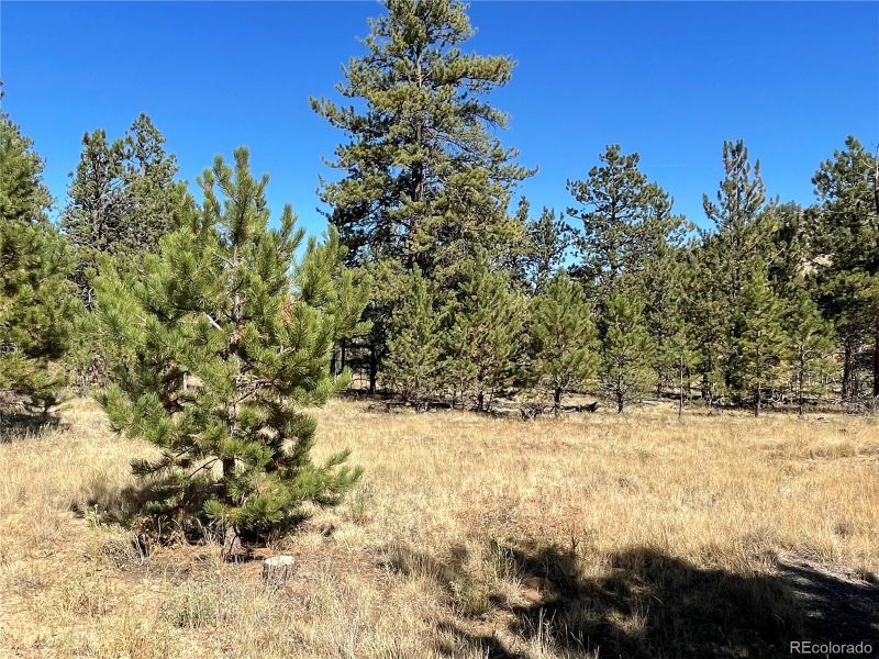 140 Haystack Rd, Hartsel, CO 80449