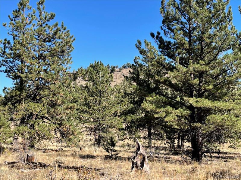 140 Haystack Rd, Hartsel, CO 80449