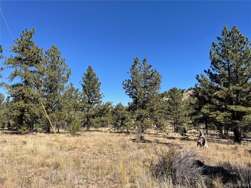140 Haystack Rd, Hartsel, CO 80449