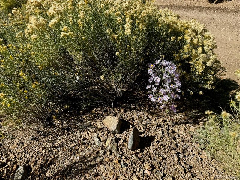 Lot 1426 Joy Rd, San Luis, CO 81152