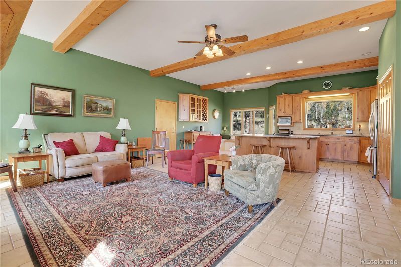 110 Bad Bandit Ln, Bailey, CO 80421