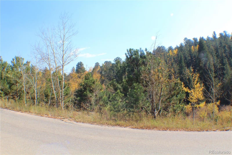 2020 Shelton Dr, Bailey, CO 80421