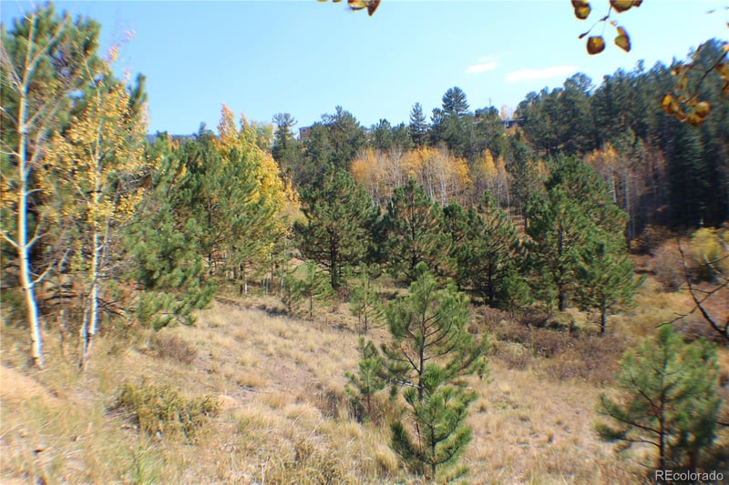 2020 Shelton Dr, Bailey, CO 80421