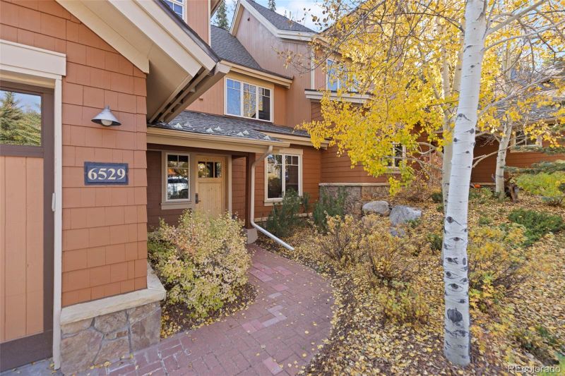 67 Tip Top Trl #6529, Dillon, CO 80435