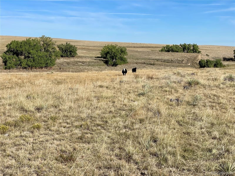 County Road 109 Lot 14, Deer Trail, CO 80105