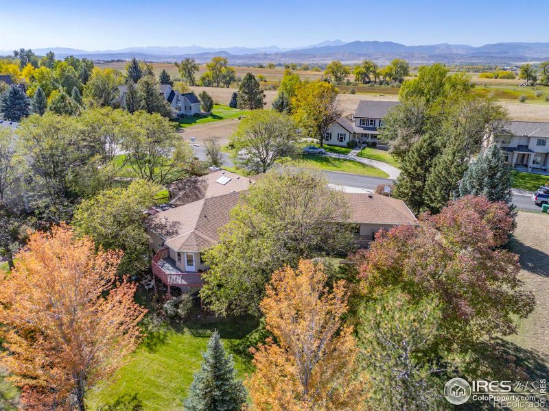 3220 Spring Mountain Ct, Loveland, CO 80537