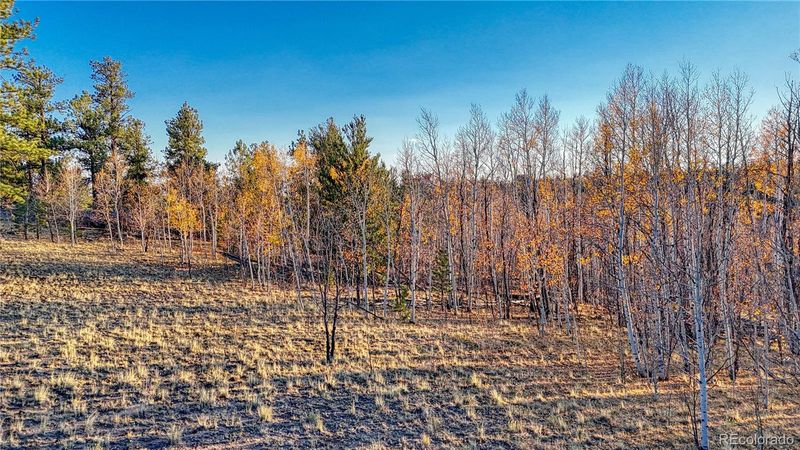 2074 Yellowstone Rd, Hartsel, CO 80449