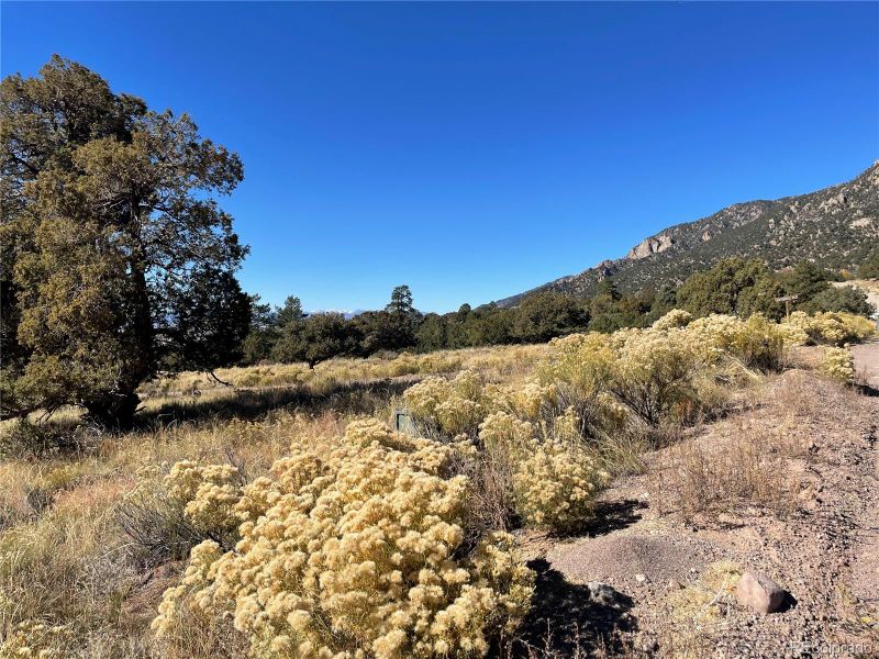 902 Brookview Way, Crestone, CO 81131