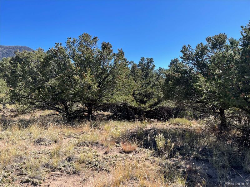 902 Brookview Way, Crestone, CO 81131