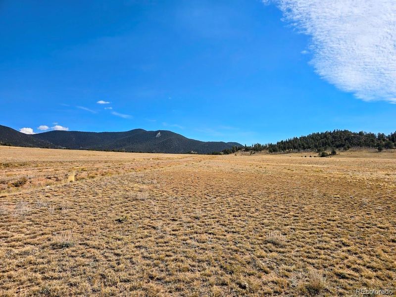 992 Garfield Rd, Hartsel, CO 80449