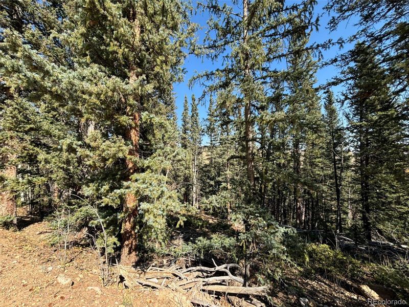 00 Boreas Cir, Jefferson, CO 80456