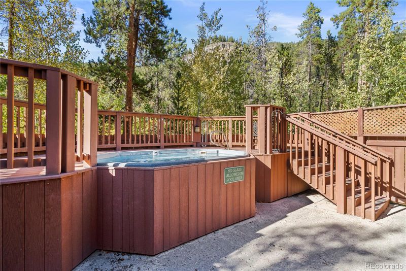 58 Trappers Crossing Trl #8769, Dillon, CO 80435