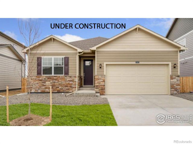 5949 Holstein Dr, Windsor, CO 80528