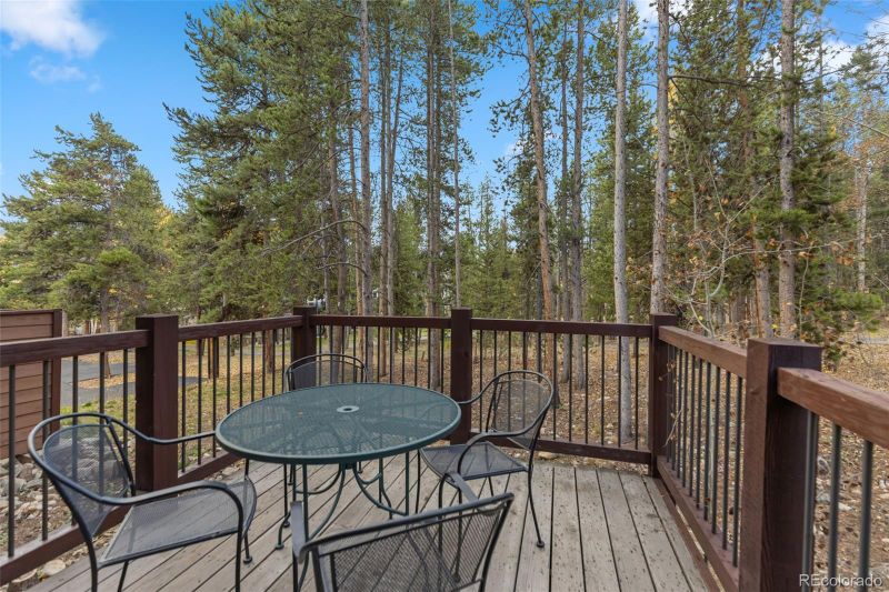 465 Four O Clock Rd #W5, Breckenridge, CO 80424