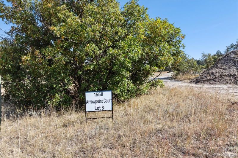 1558 Arrowpoint Ct, Franktown, CO 80116