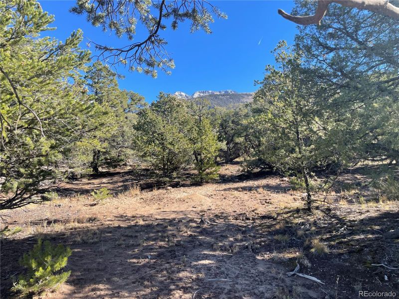 1834 Rockyview Way, Crestone, CO 81131