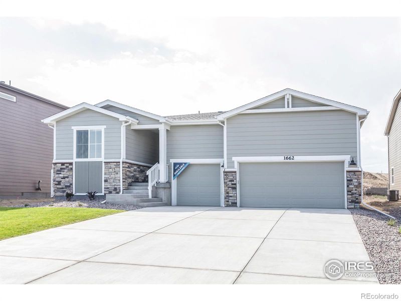 1662 Rumley Creek Dr, Windsor, CO 80550