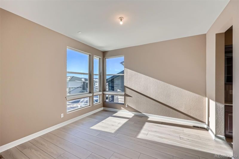 294 Leafy Aster Ln, Castle Rock, CO 80104