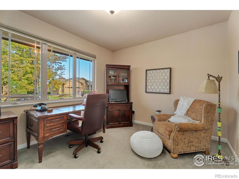 6511 Half Moon Bay Dr, Windsor, CO 80550