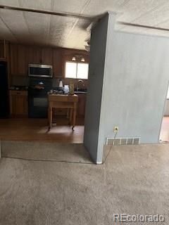 568 Chicago Creek Rd, Idaho Springs, CO 80452