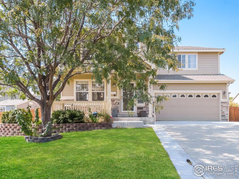 12665 Jasmine St, Thornton, CO 80602