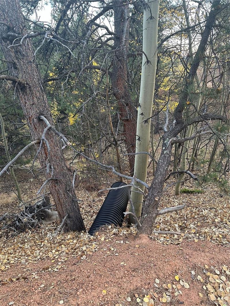 418 Valley Rd, Divide, CO 80814