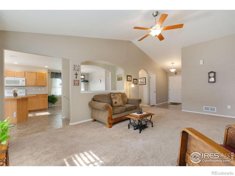7362 Andover St, Wellington, CO 80549