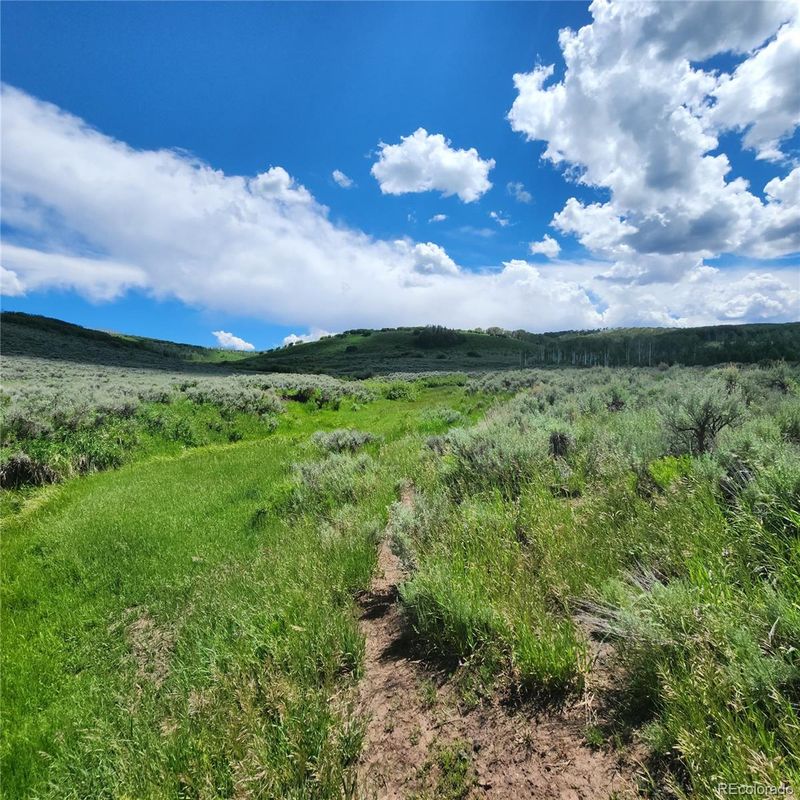 000 Zs Rd, Whitewater, CO 81527