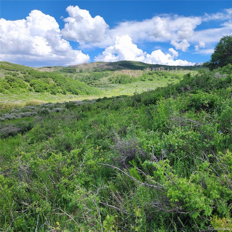 000 Zs Rd, Whitewater, CO 81527