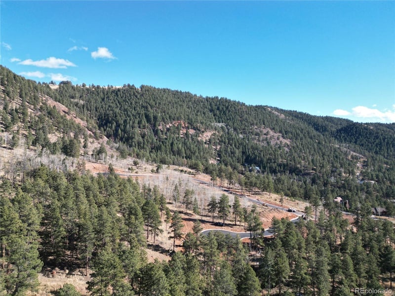 12 Blue Haven Pl Lot 12, Woodland Park, CO 80863
