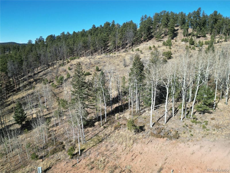 14 Blue Haven Pl Lot 14, Woodland Park, CO 80863