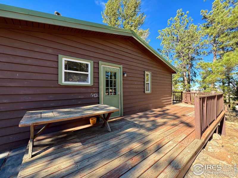 4393 Green Mountain Dr, Livermore, CO 80536