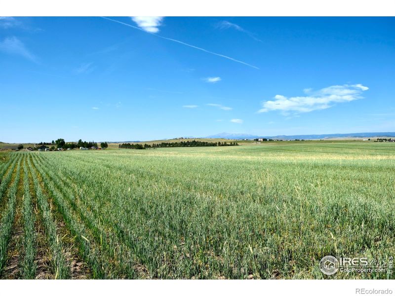 0 Heidemann Rd, Elizabeth, CO 80107