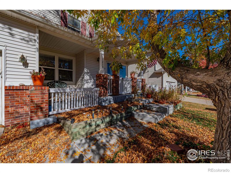 1280 Monarch Ave, Longmont, CO 80504