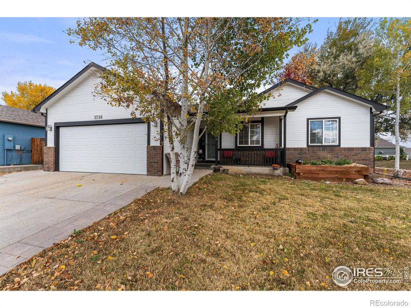 3736 Homestead Dr, Mead, CO 80542