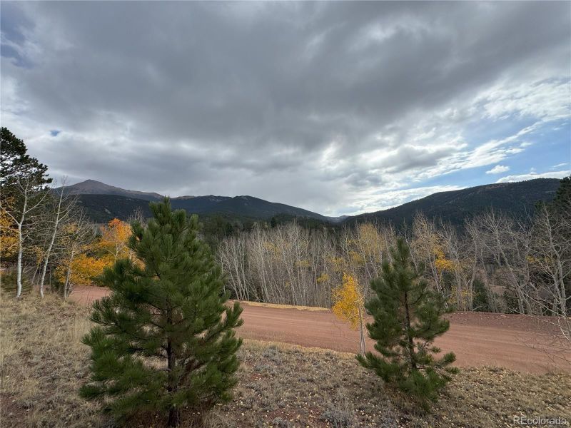 Pikes Peak Dr, Divide, CO 80814