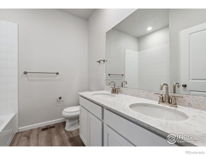 869 Hummocky Way, Windsor, CO 80550