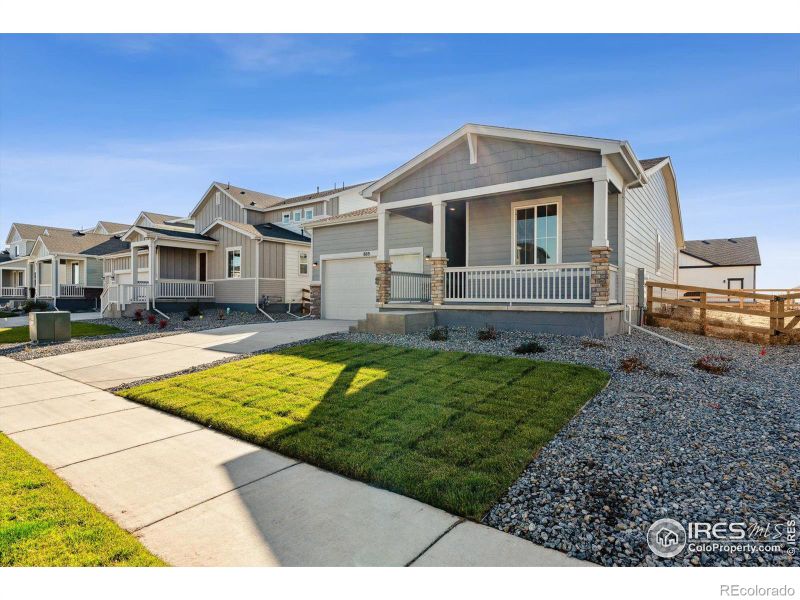 869 Hummocky Way, Windsor, CO 80550