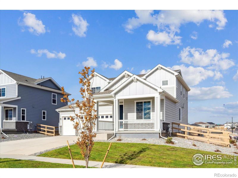 902 Hummocky Way, Windsor, CO 80550