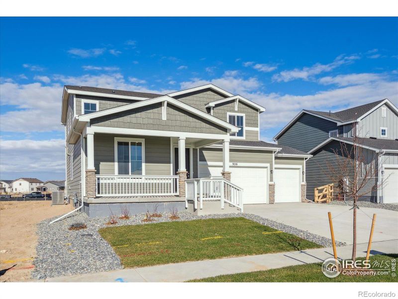 926 Hummocky Way, Windsor, CO 80550