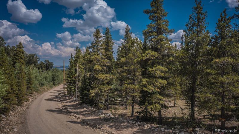 670 Venture Rd, Fairplay, CO 80440