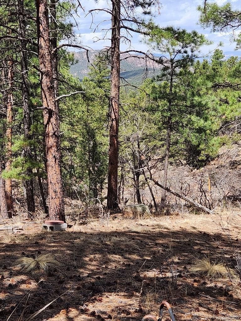 TR-140141 Mb 17th Trl Lot 140/141, Cotopaxi, CO 81223