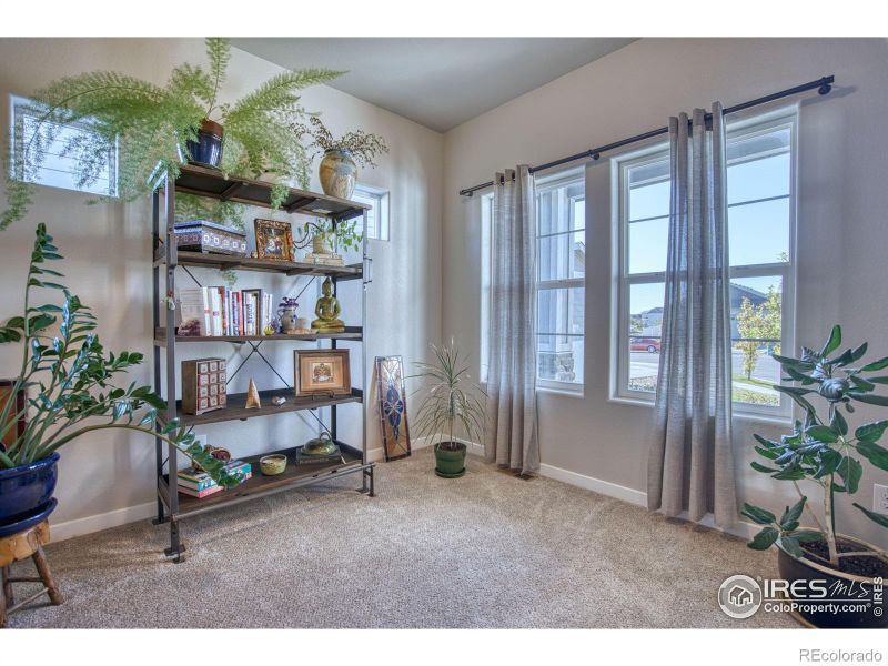 1454 Sabin Ct, Berthoud, CO 80513
