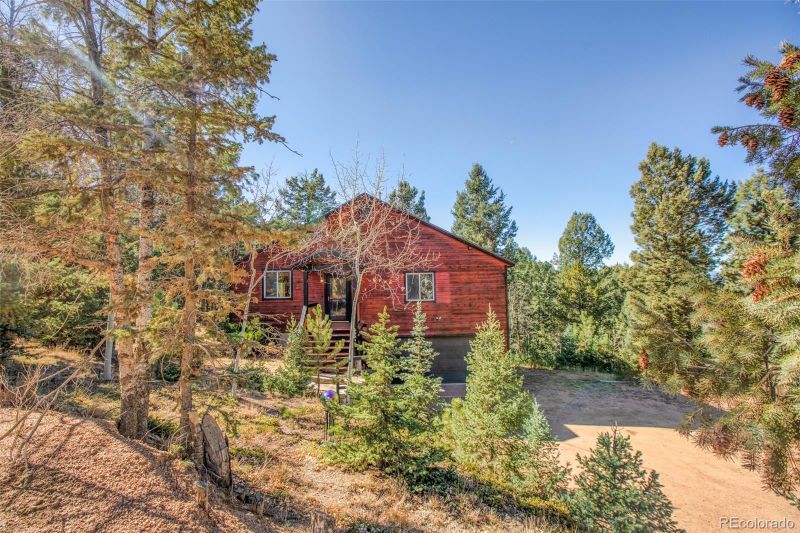 831 Trout Haven Rd, Florissant, CO 80816