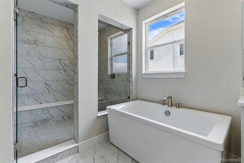 1658 Fox Trotter Point, Castle Rock, CO 80104